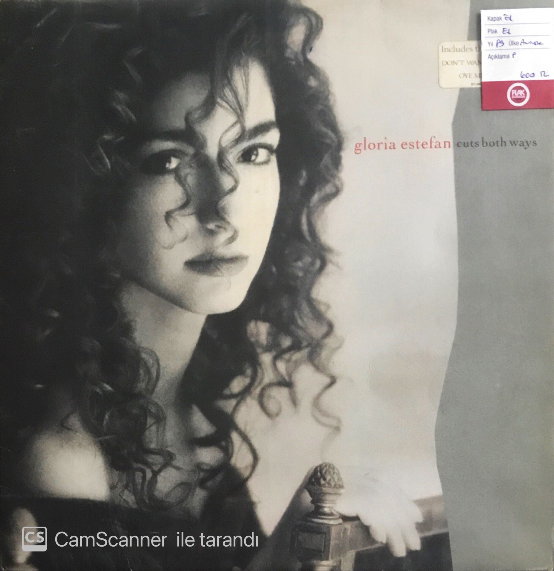 Gloria Estefan - Cuts Both Ways - LP