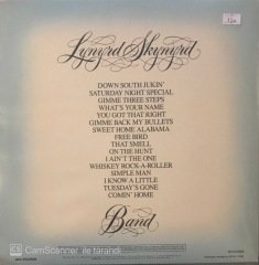 Synyrd Skynyrd Band Gold & Platinum Double LP