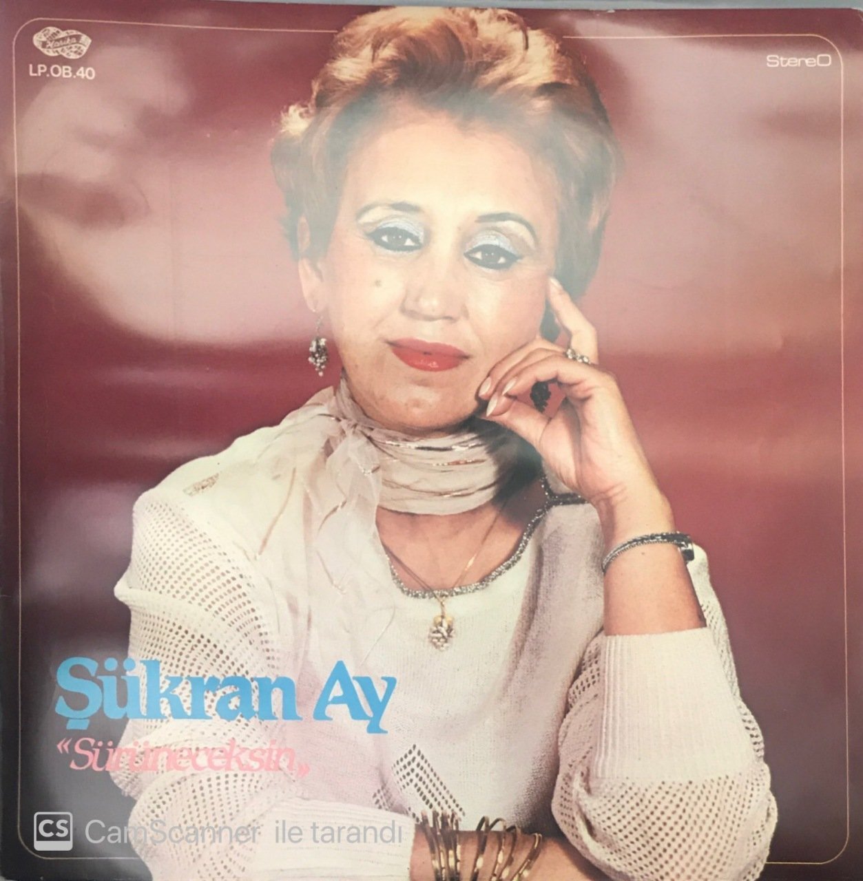 Şükran Ay Sürüneceksin LP