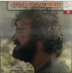 Joe Cocker Jamaica Say you Will LP