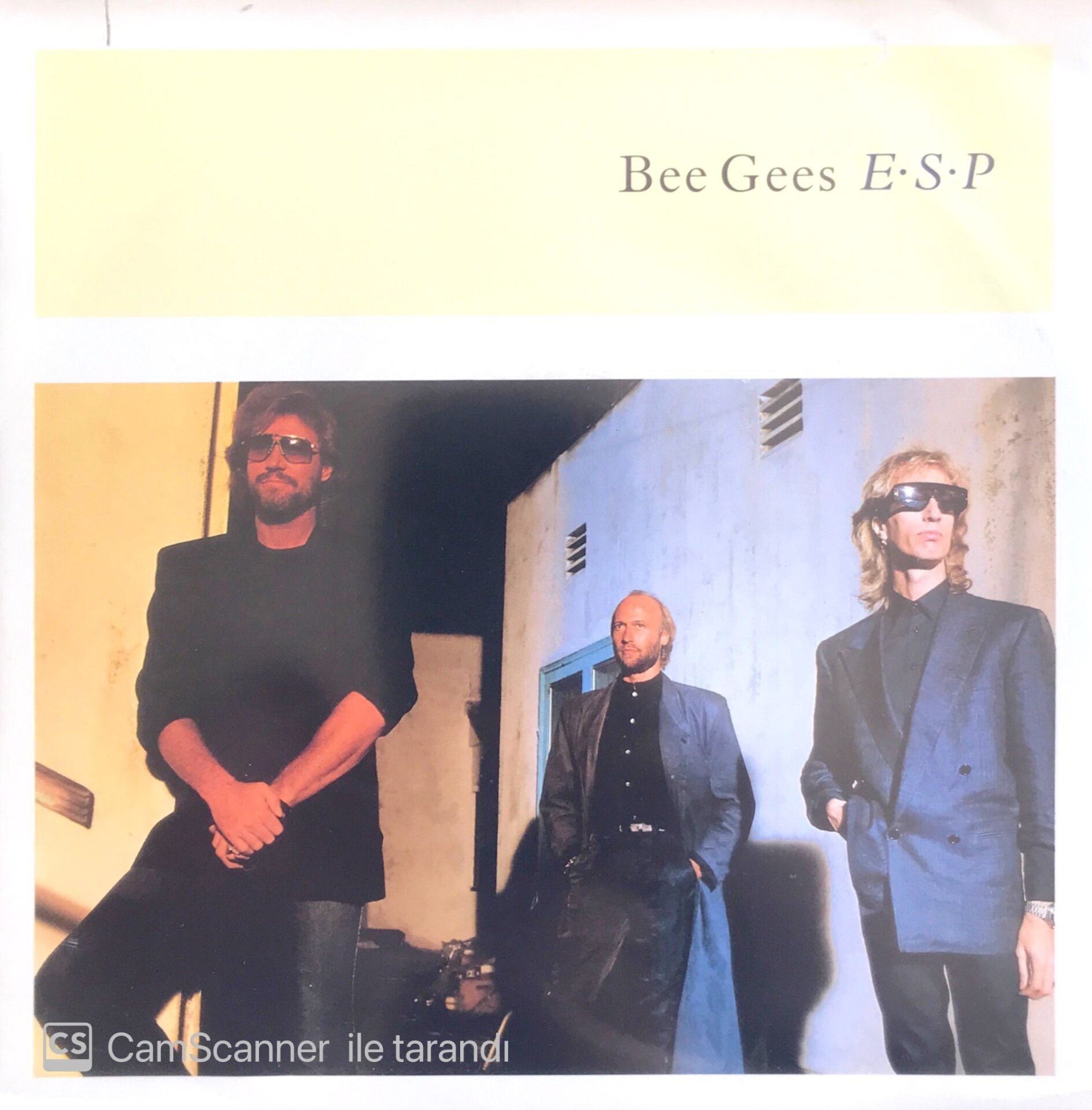Bee Gees E.S.P. 45lik