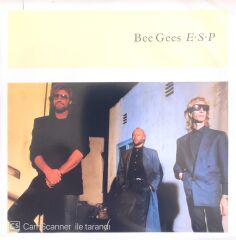 Bee Gees E.S.P. 45lik