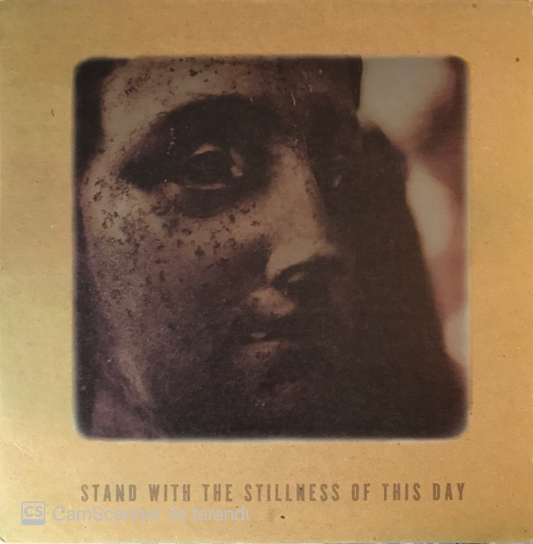 Elizabeth Anka Vajagıc - Stand With The Stillness Of This Day LP