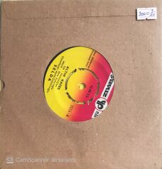 Selda Bağcan - Altın Kafes/Gesi Bağları - 45'lik