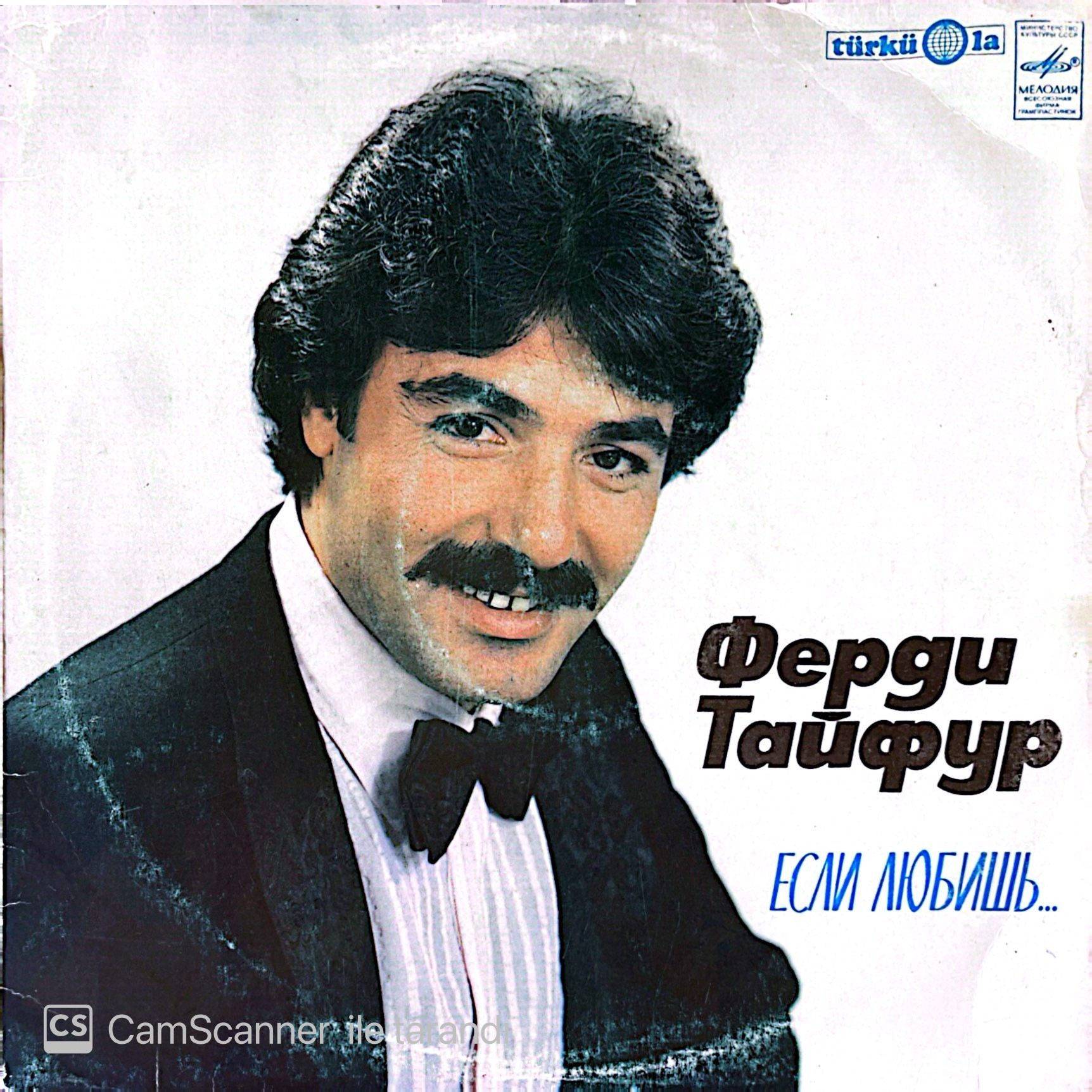 Ferdi Tayfur - İnsan Sevince LP