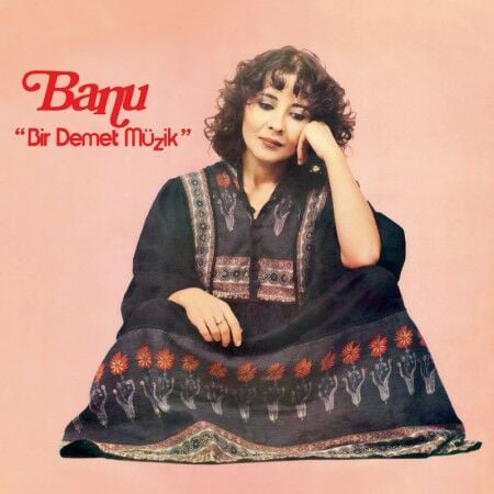 Banu - Bir Demet Müzik LP