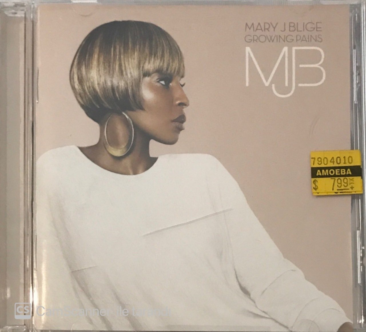 Mary Jblige Growing Pains CD