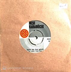 Neşe Karaböcek - İntizar/Karlı Bir Kış Günü - 45'lik