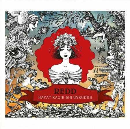 Redd - Hayat Kaçık Bir Uykudur LP