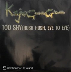 Kajagoogoo Too Shy 45lik