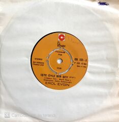 Erol Evgin / İşte Öyle Bir Şey 45'lik