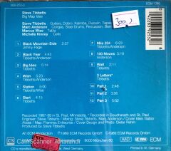 Steve Tibbetts / Big Map İdea CD