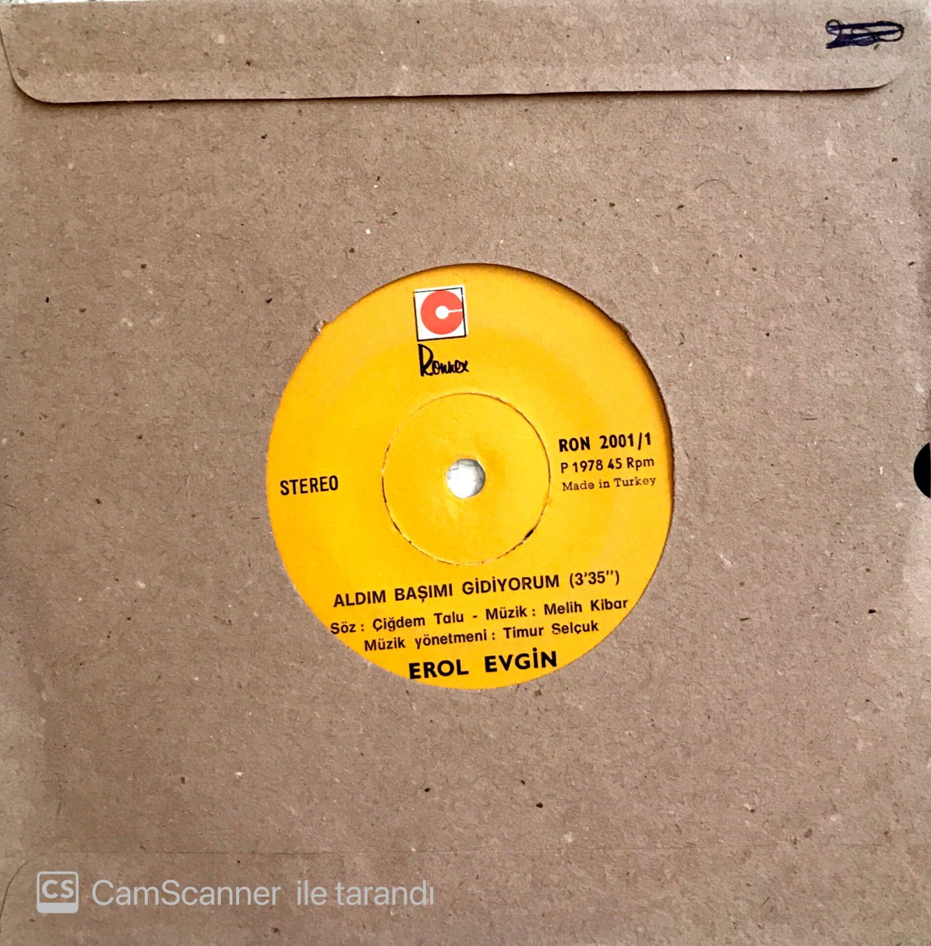 Erol Evgin / Aldım Başımı Gidiyorum 45'lik