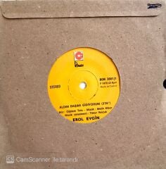 Erol Evgin / Aldım Başımı Gidiyorum 45'lik