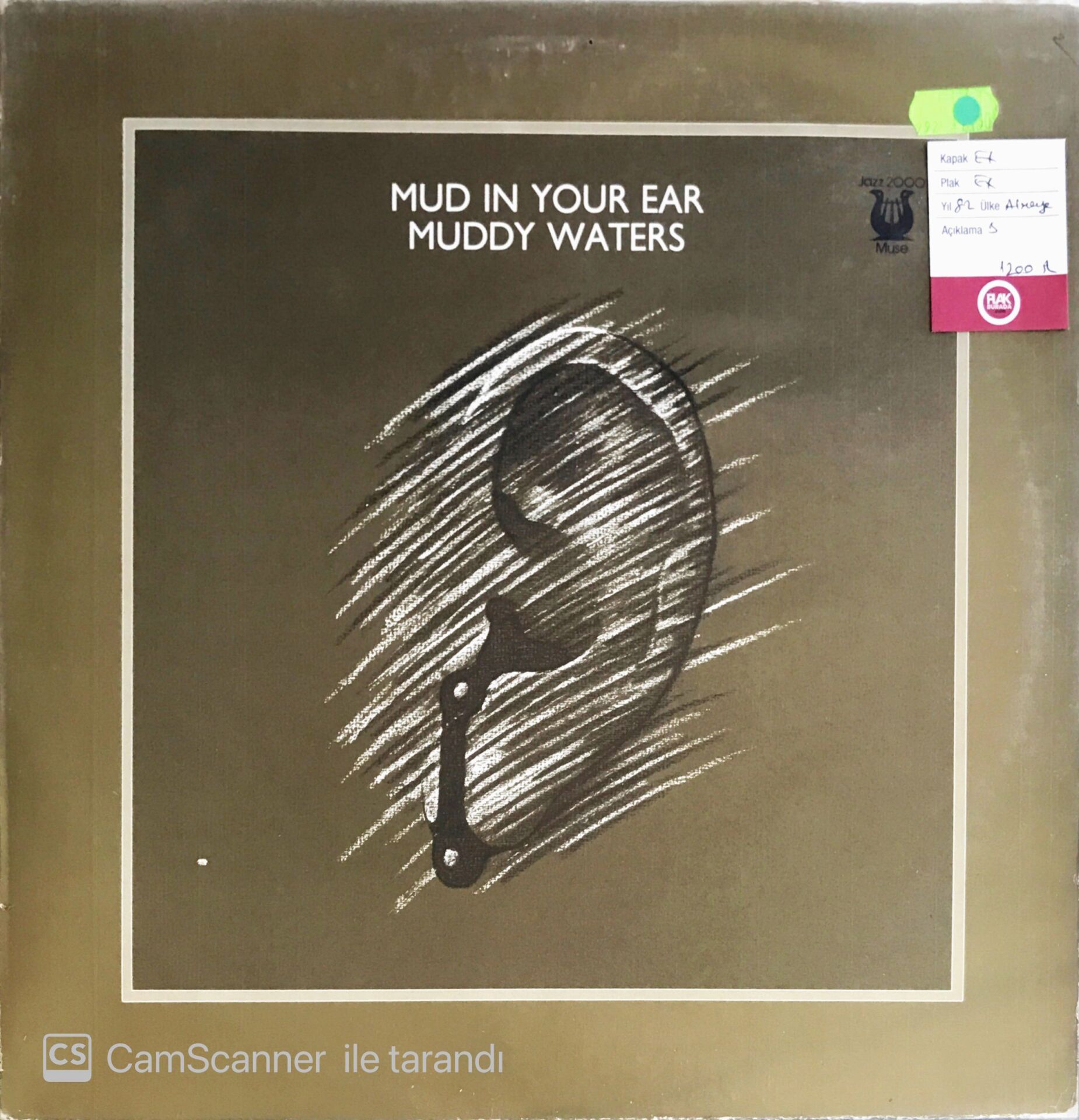 Muddy Waters - Mud In Your Ear - LP