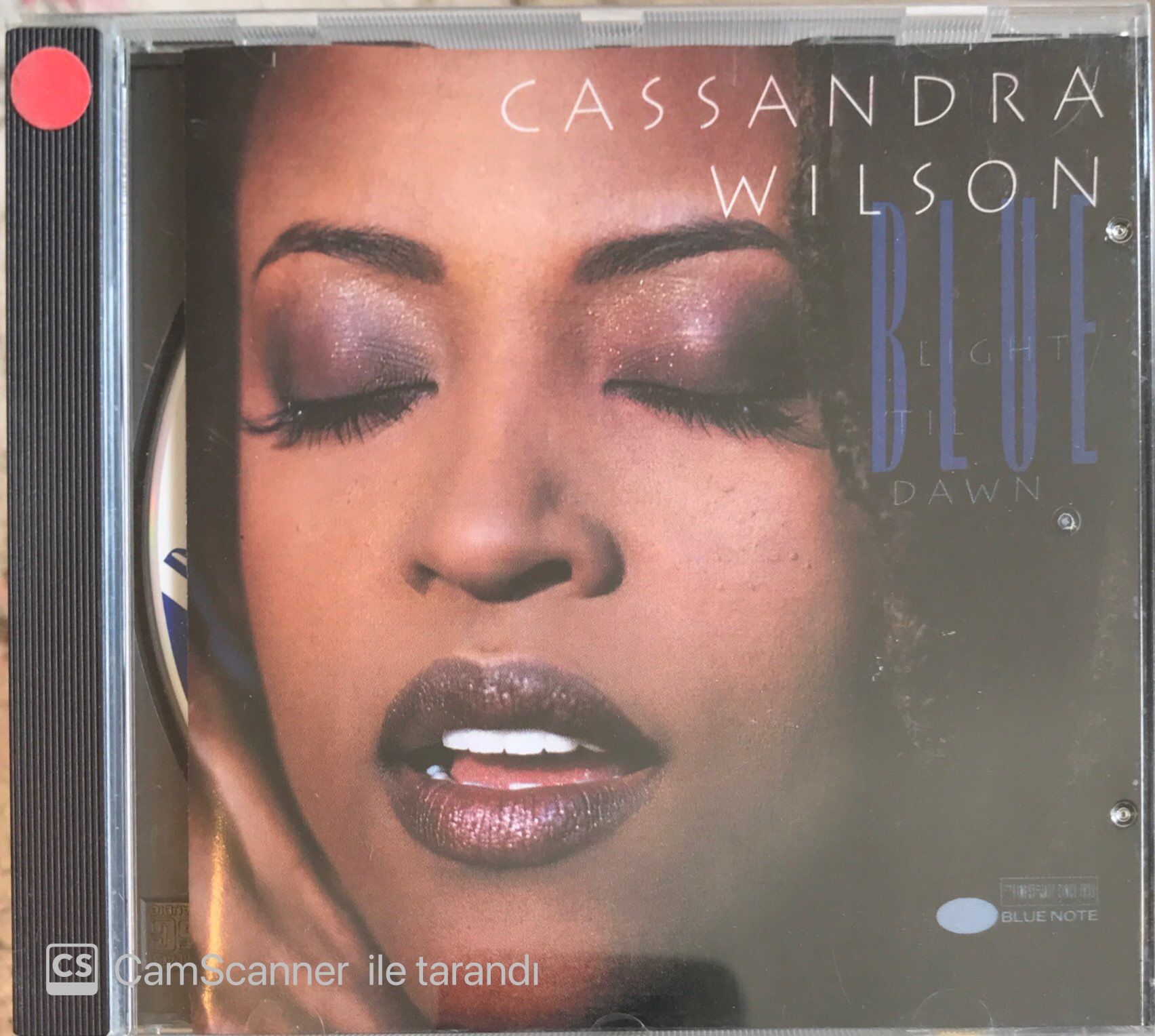 Cassandra Wilson Blue Light 'Til Dawn CD