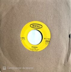 Jeff Beck Group / Got The Feeling 45'lik