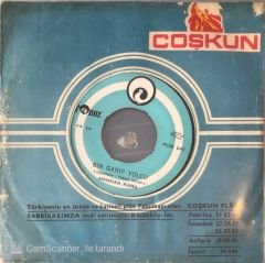 Handan Kara - Bir Garip Yolcu 45lik