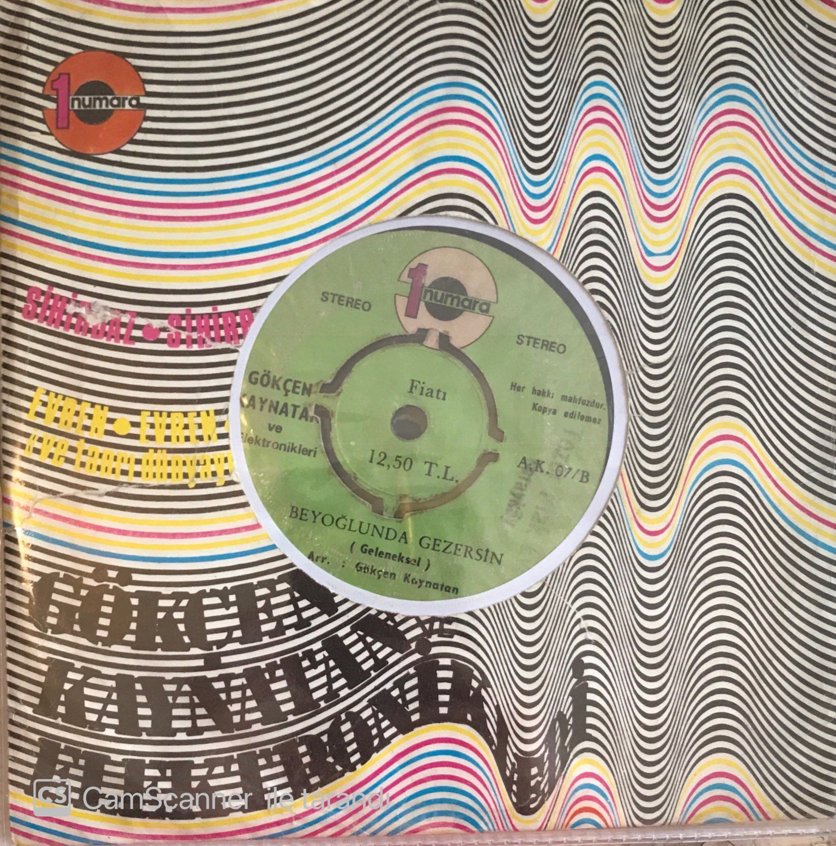 Gökçen Kaynatan ve Elektronikleri Pencerenin Perdesini 45lik