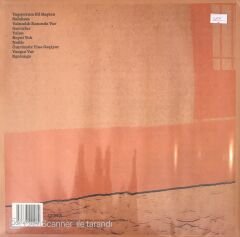 Ari Barokas - Lafıma Gücenme LP