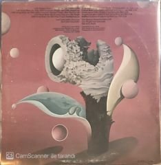 Spooky Tooth - Tobacco Road LP