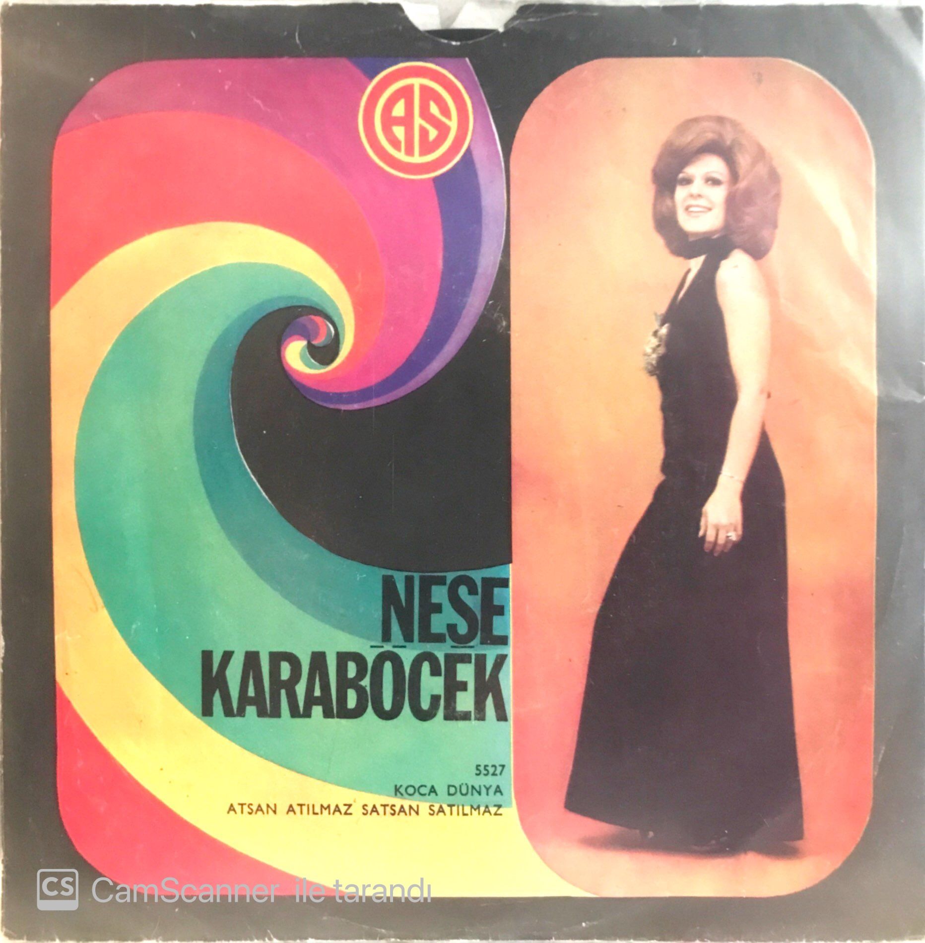 Neşe Karaböcek - Koca Dünya 45lik