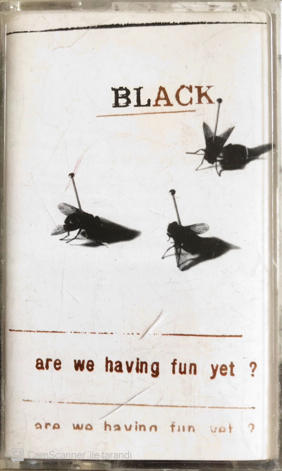 Black - Are We Having Fun Yet - KASET