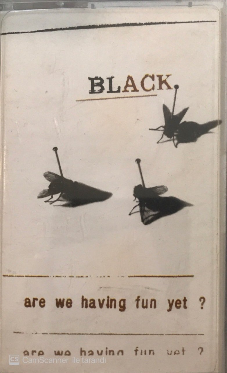 Black Are We Having Fun Yet KASET