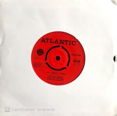 The Rose Garden / Next Plane To London 45'lik