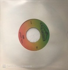 Şükrü İzol Tayyarın Ağıdı 45lik