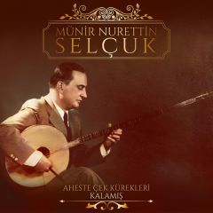 Münir Nurettin Selçuk - Aheste Çek Kürekleri / Kalamış LP