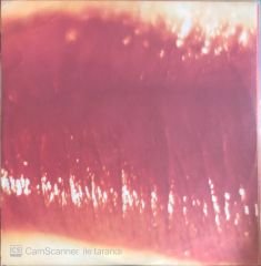 The Cure - Kiss Me Kiss Me Kiss Me Double LP