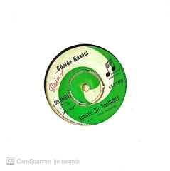 Güzide Kasacı -  Seninle Bir Sonbahar 45lik