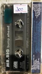 Mr. Big - Bump Ahead - KASET