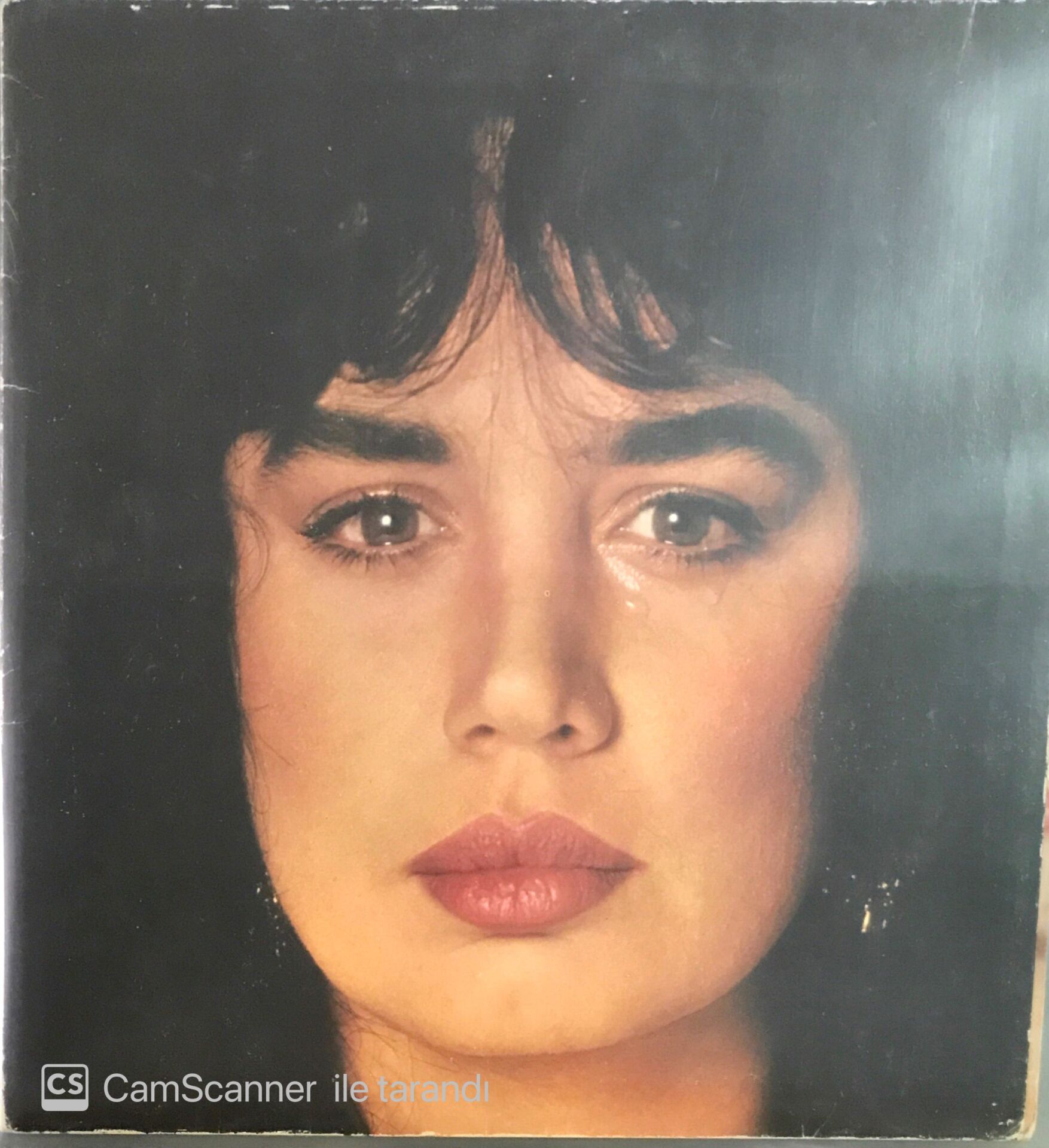 Sezen Aksu - Ağlamak Güzeldir LP