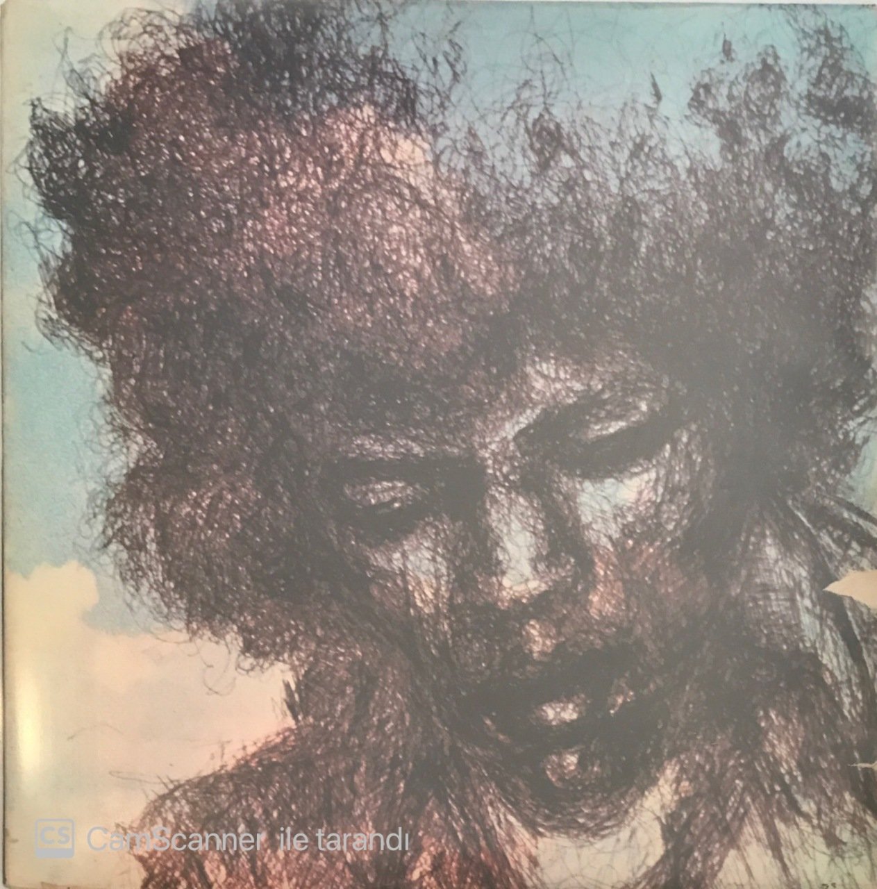 Jimi Hendrix The Cry Of Love LP