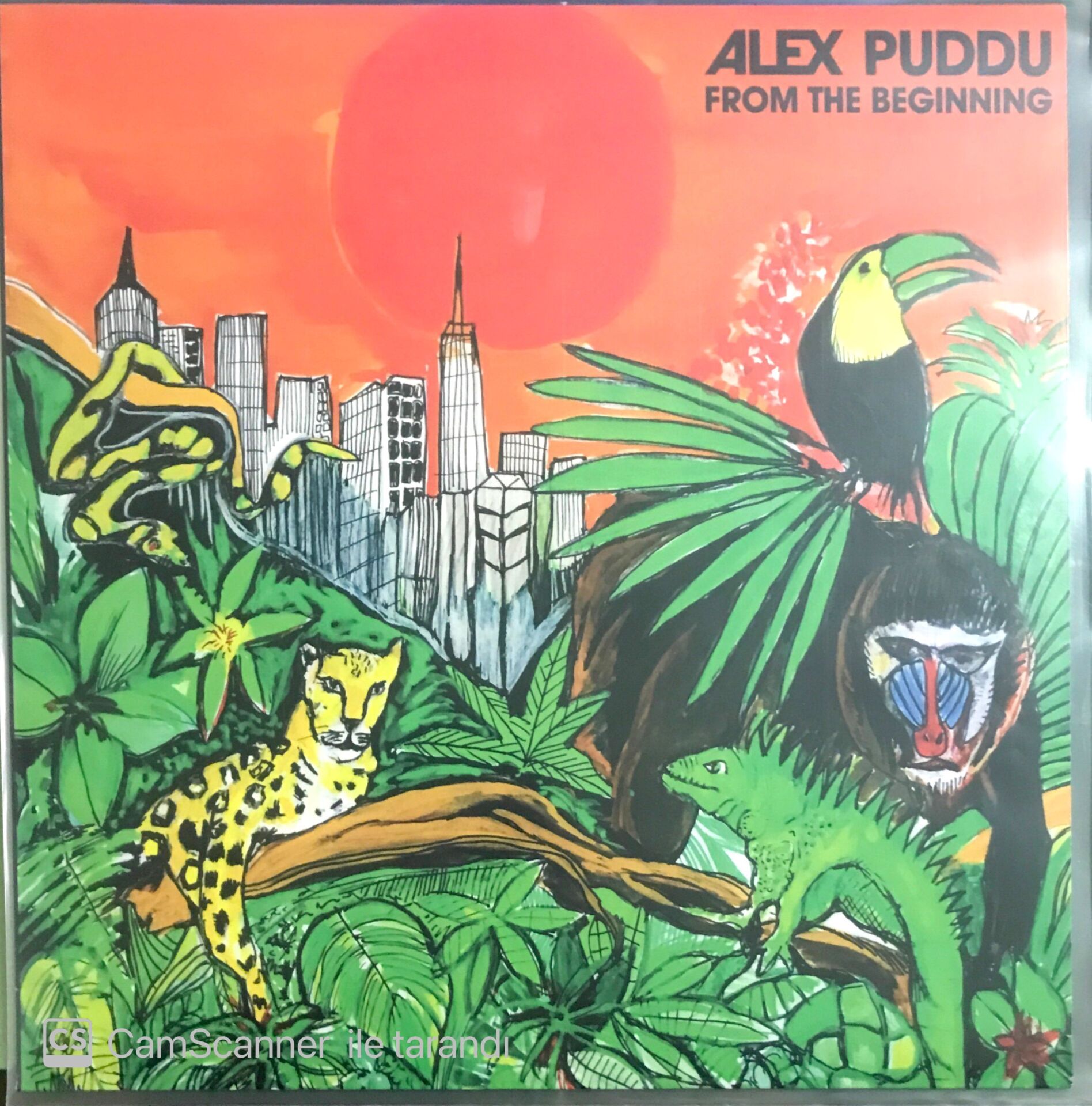 Alex Puddu from the Beginning LP