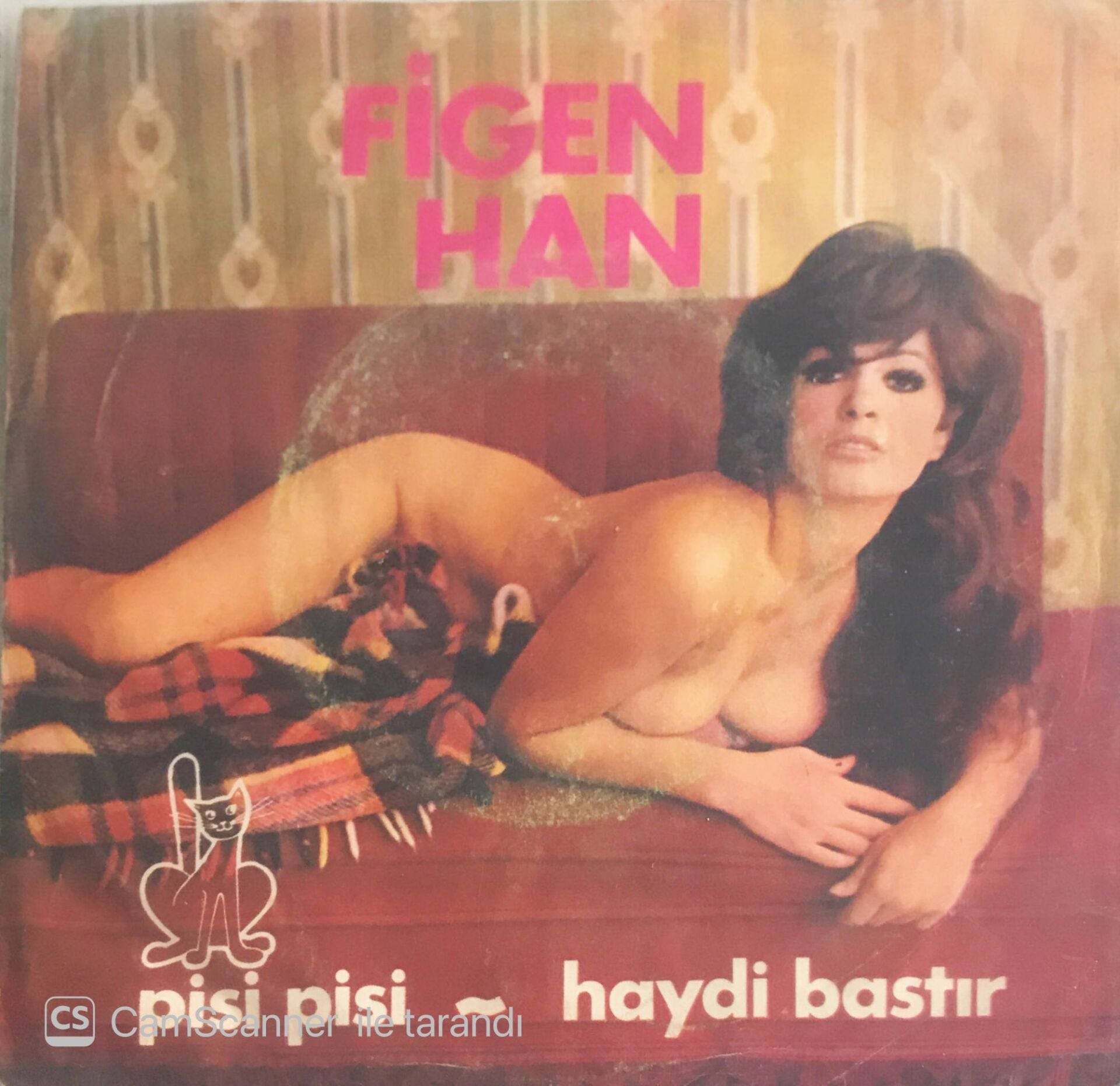Figen Han - Pisi Pisi/Haydi Bastır - 45'lik