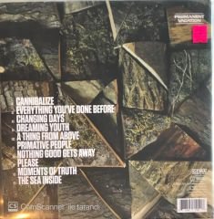 Mano Le Tough - Changing Days Double LP