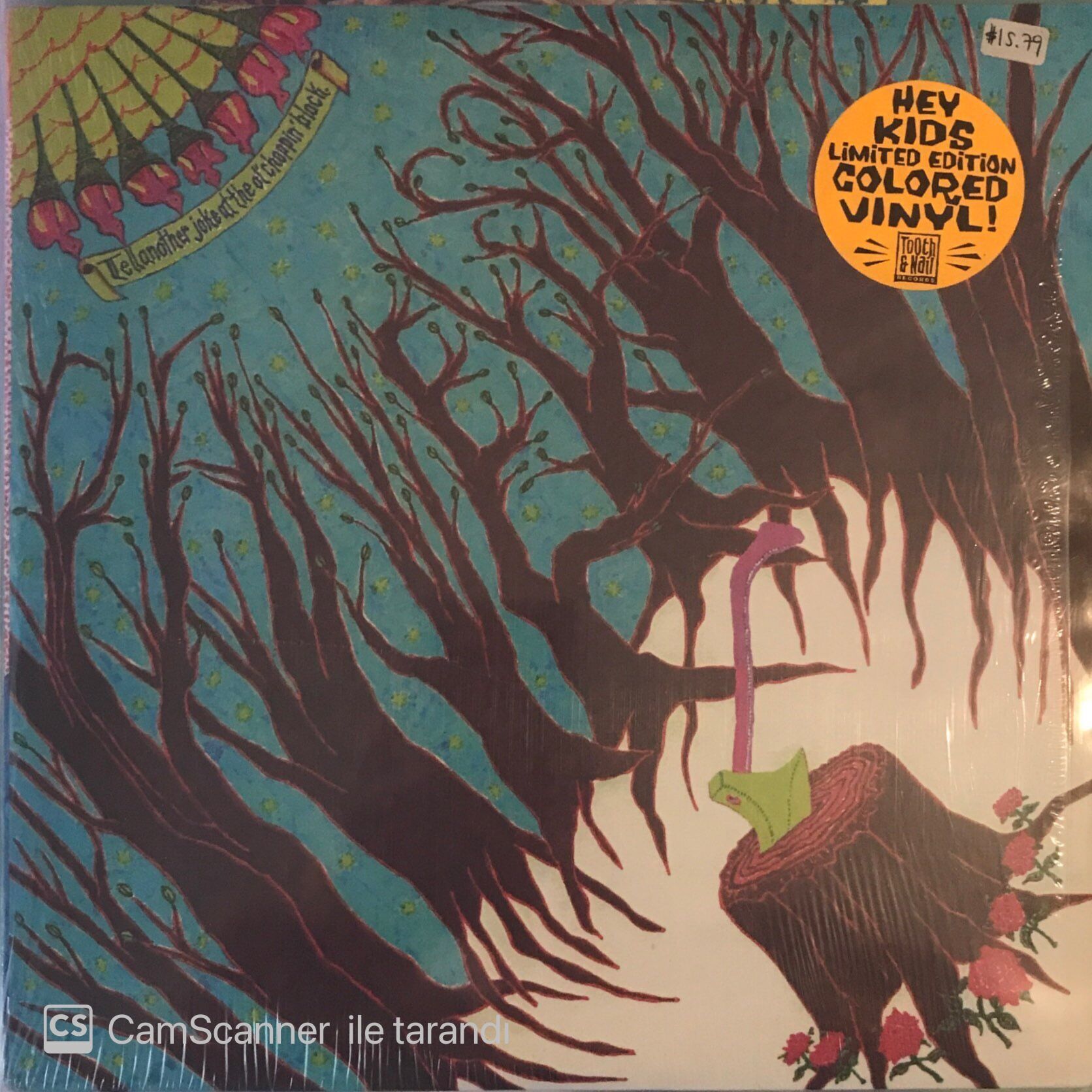 Danielson Family - Tell Another Joke At The Ol' Choppın' Block Double LP