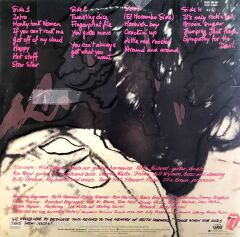 The Rolling Stones Love You Live Double LP