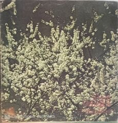 Ferdi Özbeğen - Mutluluklar LP