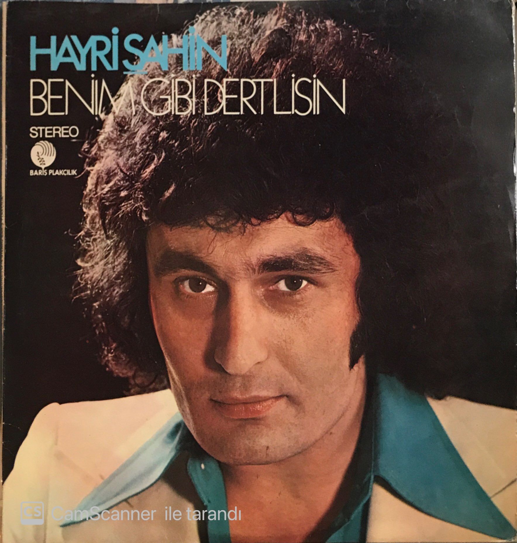 Hayri Şahin Benim Gibi Dertlisin LP