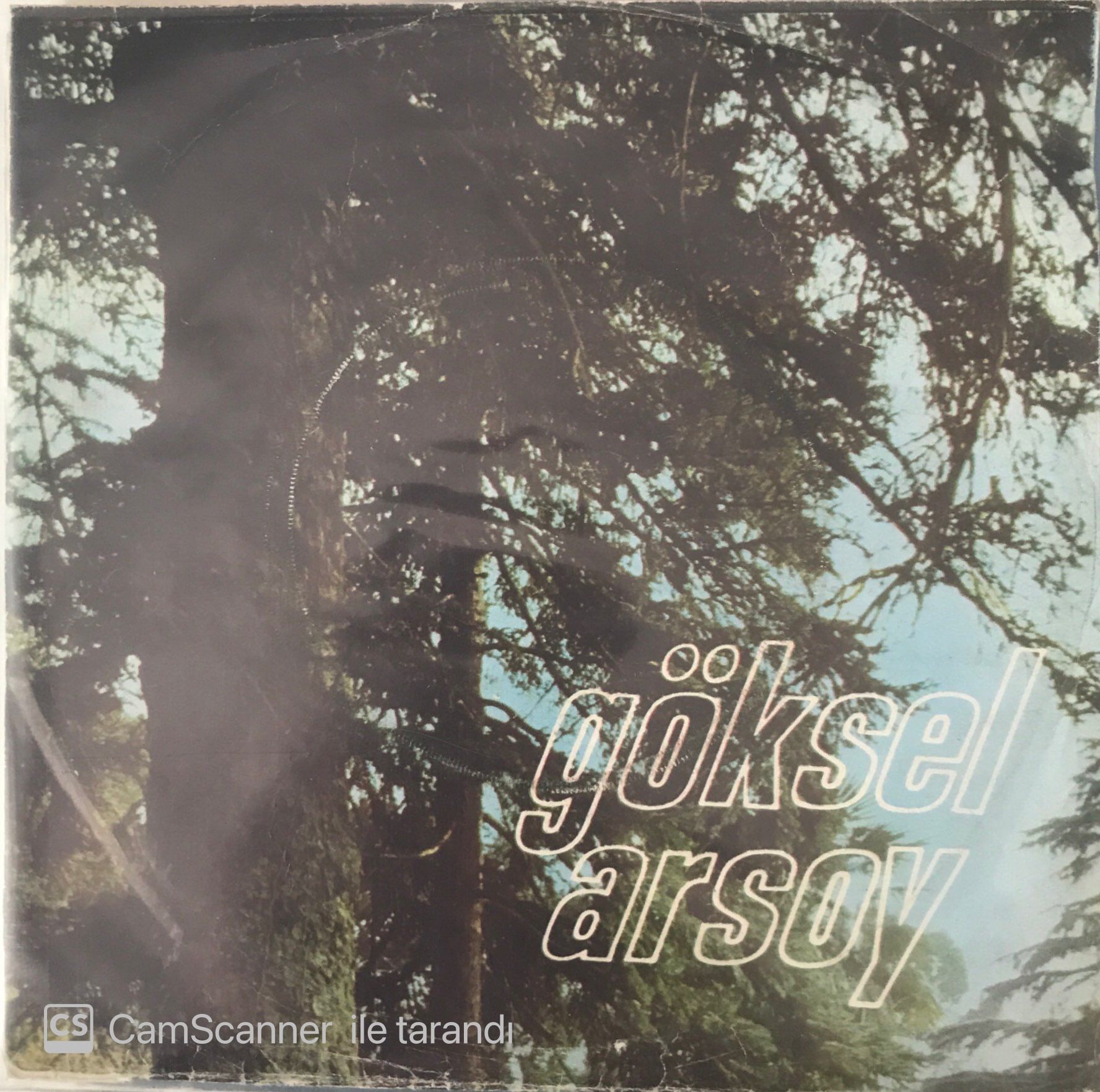 Göksel Arsoy - Temmuz Akşamları 45lik