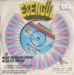 Esengül - Taht Kurmuşsun Kalbime/Çok Geç Olmadan - 45'lik