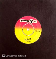 Şen Şan Cud Orkestrası / Ilgaz 45'lik