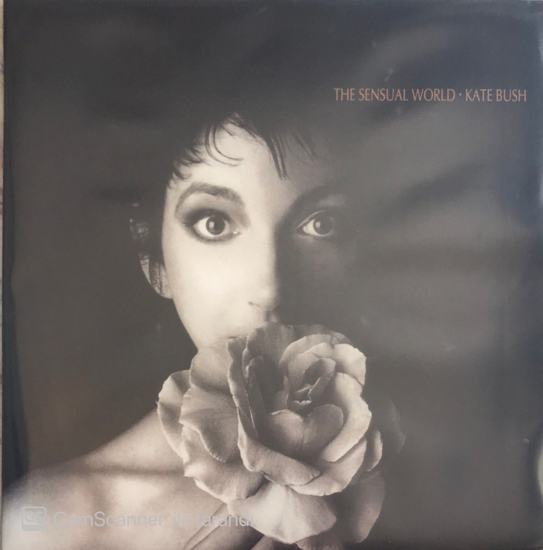 Kate Bush - The Sensual World Limited Edition LP