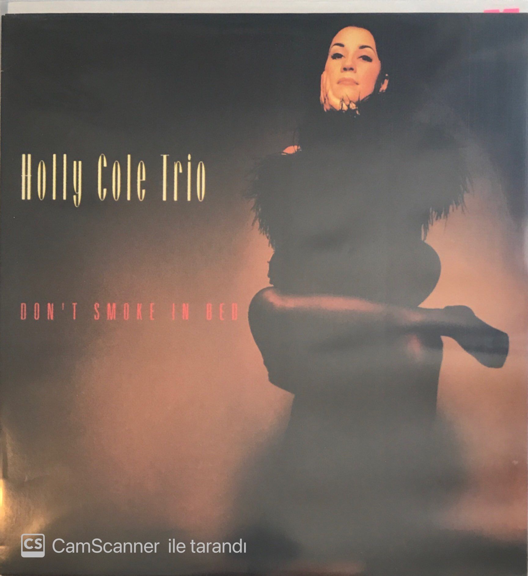 Holly Cole Trio - Don't Smoke In Bed LP