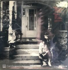 Bob Dylan / Under The Red Sky LP