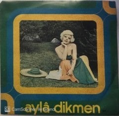 Ayla Dikmen Anlamazdın 45lik